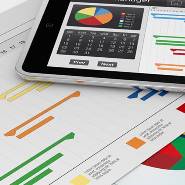 Administración de Proyectos: Principios Básicos Specialization